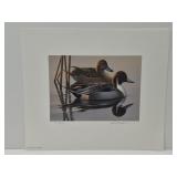 Waterfowl print by Phil Scholer signed & numbered