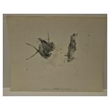 'Storing Up' print by Mrs. Andrew Wyeth