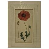 'Papaver Rhreas' print