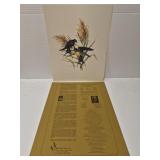 Roger Tory Peterson Barn Swallow' print
