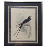 'Chimney Swallow' print