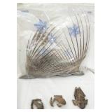 Preserved natural materials Bird wings & frogs