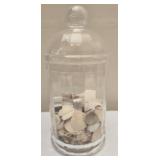 Plastic container with seashells