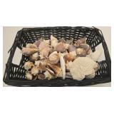 Basket full of sea shells