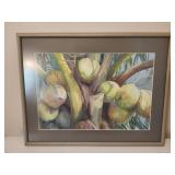 Framed print of Coconut Palm