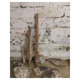 Collection of Large Nautical Shells & Driftwood