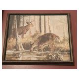 Framed nature print of deer artist unknown
