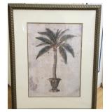 Framed print of palm tree