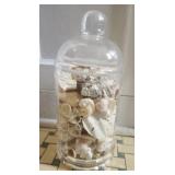 Clear container w seashells