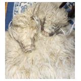 Animal fur & deer horns