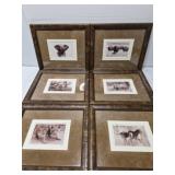 Collection of Horst Klemm African wildlife photos