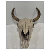 Genuine bison skull