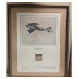 Albatros D Va aircraft original fabric framed