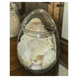 Glass Jar Full of Misc Size Sand Dollars Shells