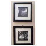 Framed black & white misty forest photography