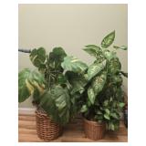 Pair of faux plants