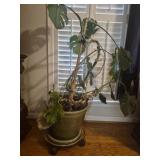 Monstera plant in decorative pot