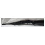 Daisy Power Line 856 .177 cal BB gun