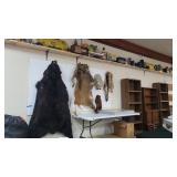 Live Indoor Sale -Taxidermy, Antiques, Tools, Vintage Toys, Coins, and more