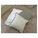 Cushion and Throw Pillows Lot