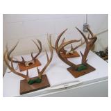 Deer Antlers Lot