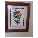 H Douglas Pratt Bird Art Print