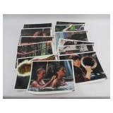 Xena 8x10 Photographs