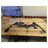 Compound Bow