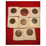 8 Indian Head Pennies