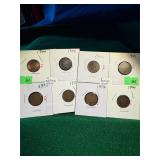 (8) Indian Cents (1900-1906)