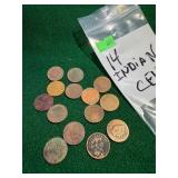 (14) Indian Cents