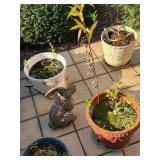 Planter Pots and Ceramic Rabbit
