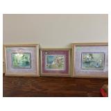 (3) Framed Pictures
