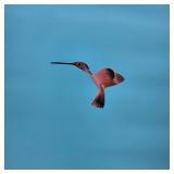 Wooden Flying Hummingbird