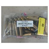 40 ct once fired .300 Win Mag brass