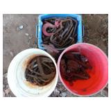 2 buckets, tote of j hooks, short iron, etc