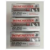 60 rds 22-250 REM 55 gr polymer tip