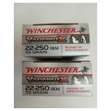 40 rds 22-250 REM 55 gr polymer tip
