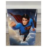 Superman ultimate collector