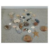 Seashells, starfish, rocks