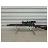 Remington nylon 66 .22 cal w/ Pine Ridge scope