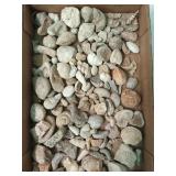 Flat of fossilized shells