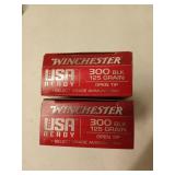 40 rds 300 BLK 125 gr open tip