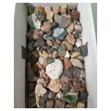 Rock collection w/ some seashells