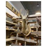 Deer head mount