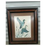 Framed mallard print by Wm Zimmerman 25.5 x 21