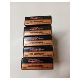 100 rds .223 REM 55 gr FMJ-BT