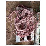 Set of two, pinkish 75 ft extension cords