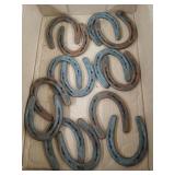 14 ct asst horse/mule shoes