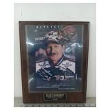 Dale Earnhardt racing